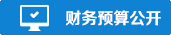 财务预算公开